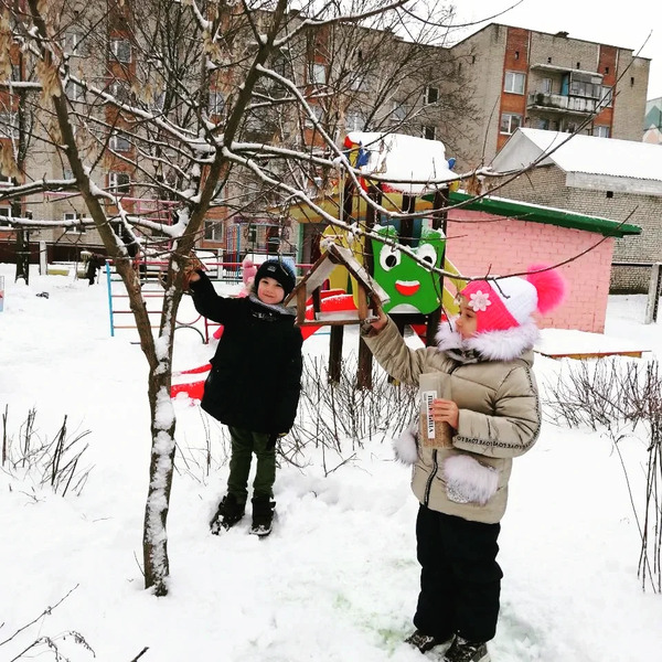 Поможем пернатому другу